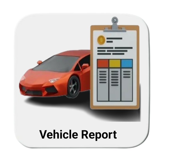 vehicle report